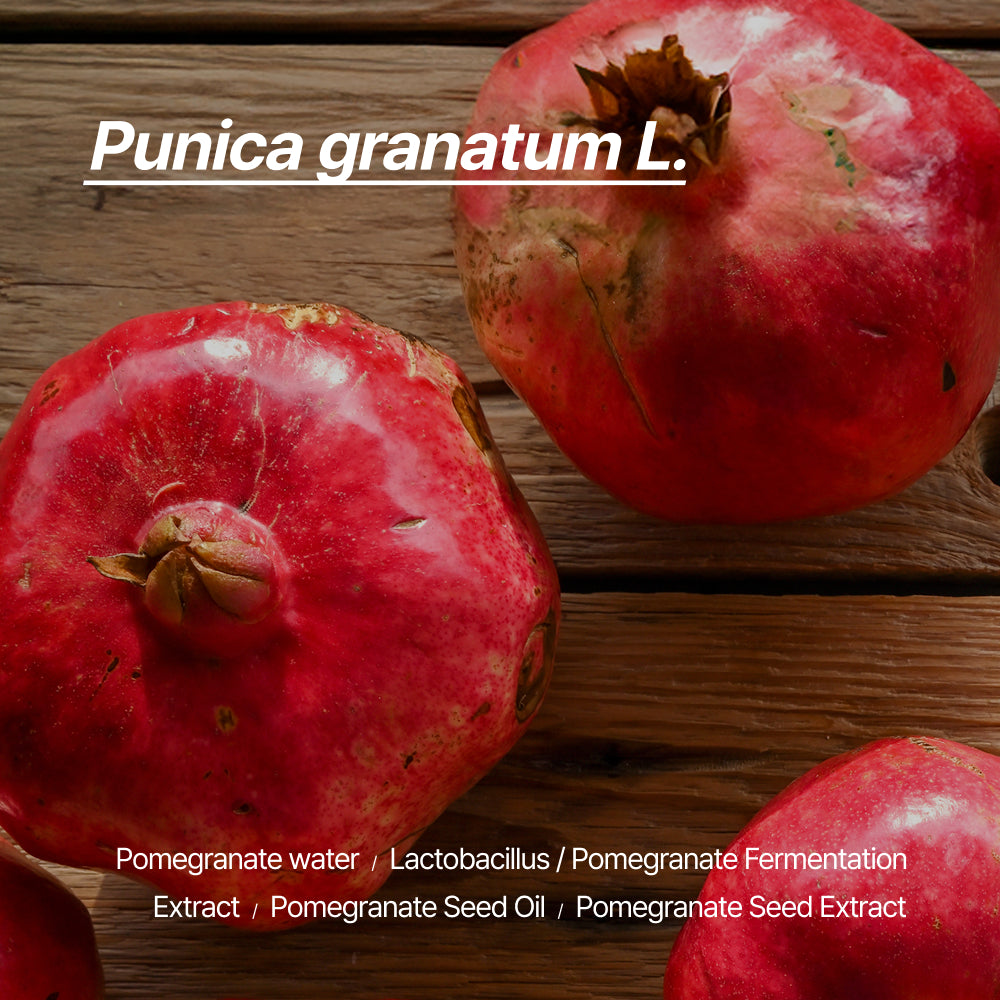 Sharpting Punica Jelly Cream Epu-D